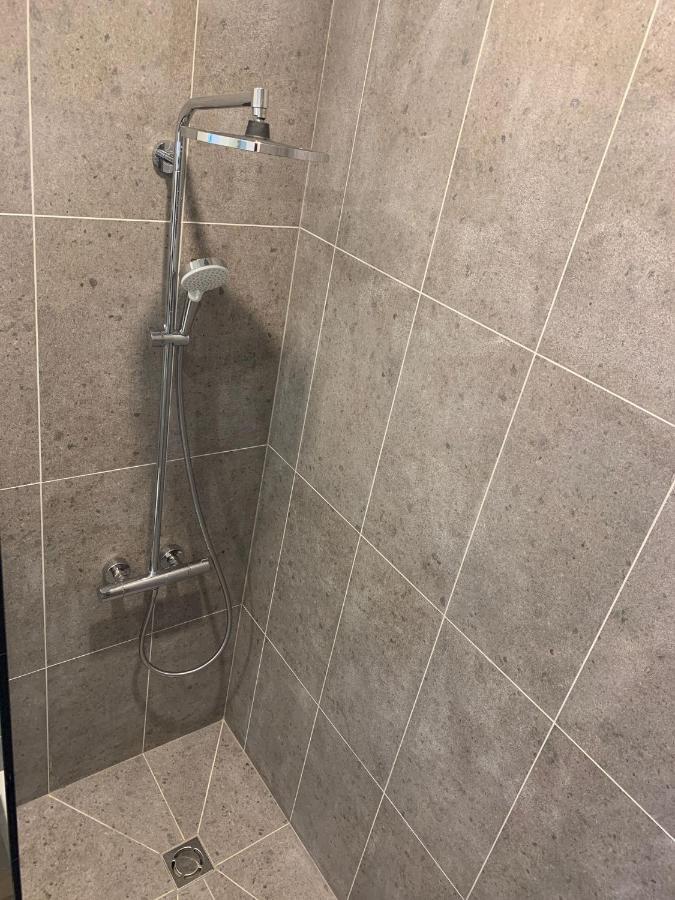 Zalio Kalno Apartamentai 考纳斯 外观 照片